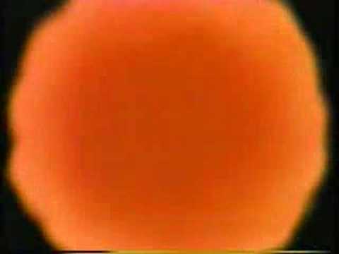 No Good Gofers Pinball Promo Video