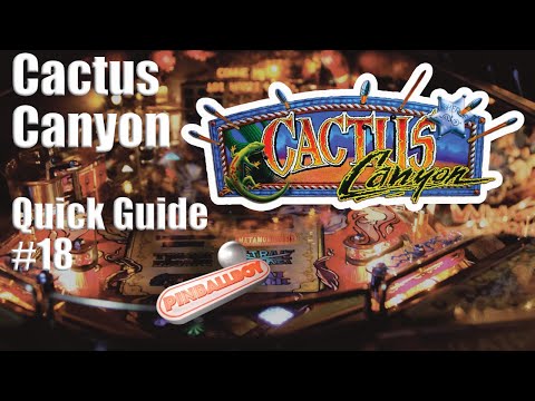 Cactus Canyon I Pinball Flipper
